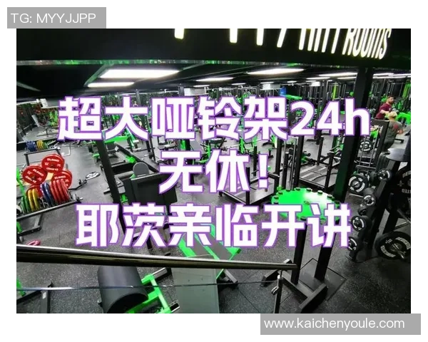 哑铃价格揭秘不同品牌与材质的市场行情分析与购买建议